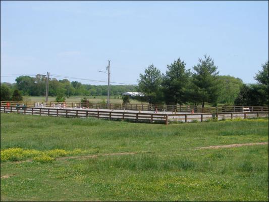 Our new arena at Half Ass Acres Miniature Donkey Farm