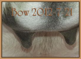 Bow 2012-7-21