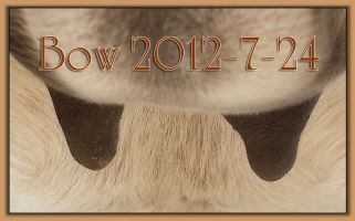Bow 2012-7-24