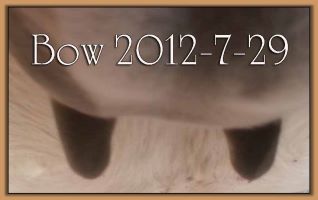Bow 2012-7-29