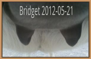Bridget 2012-05-21