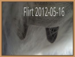 Flirt 2012-05-16