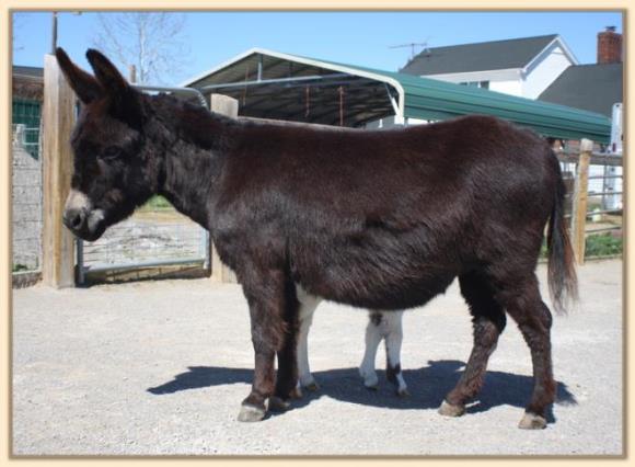Sweet Pea March 20th, 2009