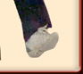 Circle C Jose ~ In Hand Jumping