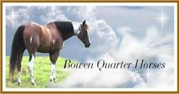 Bowen Quarter Horses in Alabama