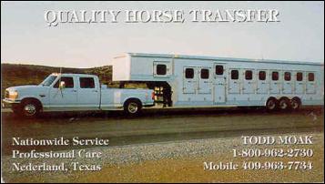Quality HorseTransfer