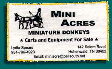 Mini Acres Miniature Donkeys - Carts & Harness for Miniatures For Sale! (12,606 bytes)