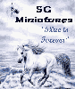 SG Minature Horses