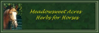 Meadowsweet Acre Herbs