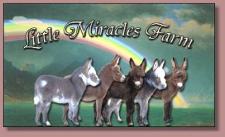 Little Miracles Farm