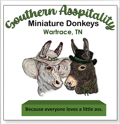 Southern Asspitality Miniature Donkeys